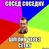 сосед соседку шпiлив через сетку