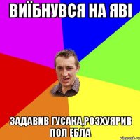 виїбнувся на яві задавив гусака,розхуярив пол ебла