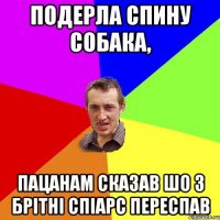 подерла спину собака, пацанам сказав шо з брітні спіарс переспав