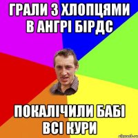 грали з хлопцями в ангрі бірдс покалічили бабі всі кури