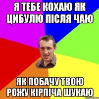 я тебе кохаю як цибулю після чаю як побачу твою рожу кірпіча шукаю