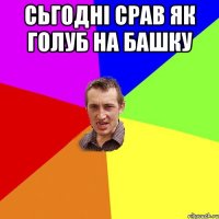 сьгодні срав як голуб на башку 