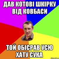 дав котові шкірку від ковбаси той обісрав усю хату сука