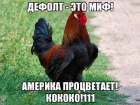 дефолт - это миф! америка процветает! кококо!111