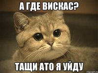 а где вискас? тащи ато я уйду