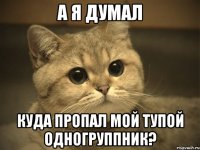 а я думал куда пропал мой тупой одногруппник?