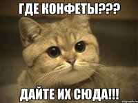 где конфеты??? дайте их сюда!!!