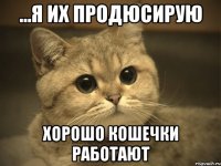 ...я их продюсирую хорошо кошечки работают