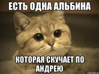 есть одна альбина которая скучает по андрею