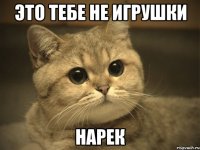 это тебе не игрушки нарек