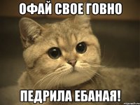 офай свое говно педрила ебаная!