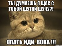 ты думаешь я щас с тобой шутки шучу?! спать иди, вова !!!