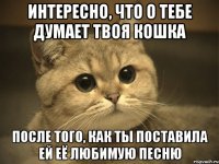 интересно, что о тебе думает твоя кошка после того, как ты поставила ей её любимую песню