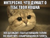 интересно, что думает о тебе твоя кошка когда видит тебя бегающую голую по квартире, собирающуюся гулять