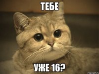 тебе уже 16?