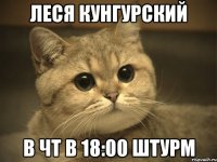 леся кунгурский в чт в 18:00 штурм