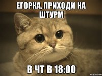 егорка, приходи на штурм в чт в 18:00