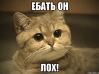 ебать он лох!