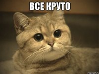 все круто 