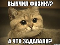 выучил физику? а что задавали?