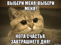 выбери меня, выбери меня! кота счастья, завтрашнего дня!