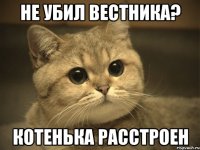 не убил вестника? котенька расстроен