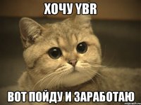 хочу ybr вот пойду и заработаю