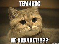 темикус не скучает!!!??