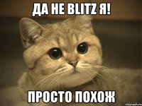 да не blitz я! просто похож