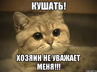 кушать! хозяин не уважает меня!!!