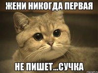 жени никогда первая не пишет...сучка