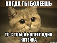 когда ты болеешь то с тобой болеет один котейка