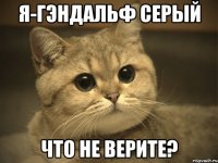 я-гэндальф серый что не верите?