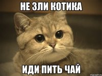 не зли котика иди пить чай