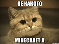 не какого minecraft,a