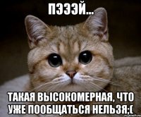 пэээй... такая высокомерная, что уже пообщаться нельзя;(