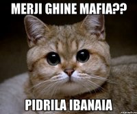 merji ghine mafia?? pidrila ibanaia