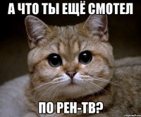 а что ты ещё смотел по рен-тв?