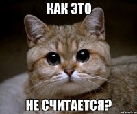 как это не считается?