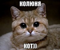 колюня кот))