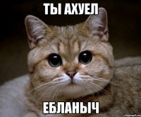 ты ахуел ебланыч