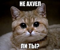 не ахуел ли ты?