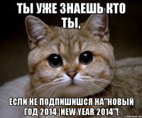 ты уже знаешь кто ты, если не подпишишся на"новый год 2014 |new year 2014"!