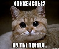 хоккеисты? ну ты понял..