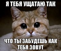 я тебя ущатаю так что ты забудешь как тебя зовут