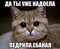 да ты уже надоела педрила ебаная