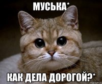 муська* как дела дорогой?*