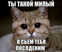 ты такой милый я сьем тебя послденим*