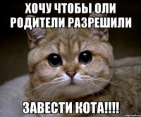 хочу чтобы оли родители разрешили завести кота!!!