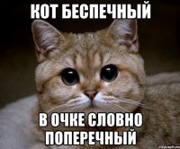 кот беспечный в очке словно поперечный